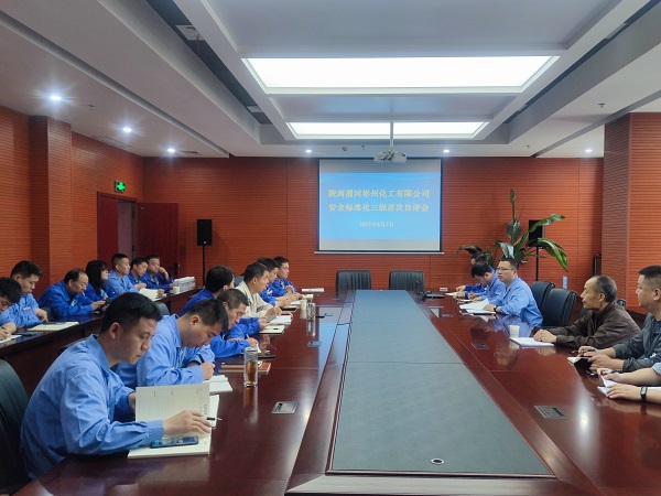 6月7日，陕西渭河彬州化工有限公司组织召开安全生产三级标准化自评会.jpg