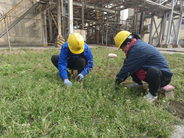 3月22日，行政保卫部马师傅和孙师傅在道路两旁清除杂草。.jpg