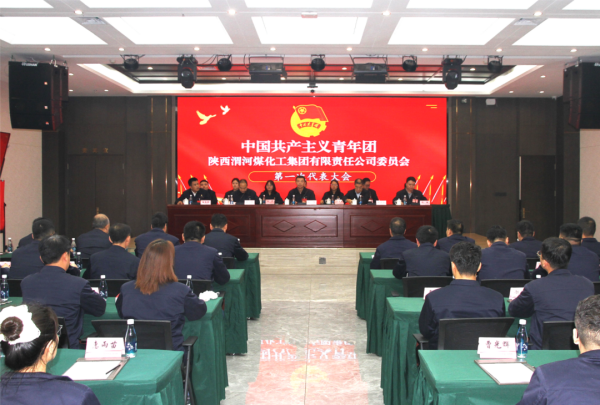 共青团渭化集团公司委员会第一次代表大会胜利召开