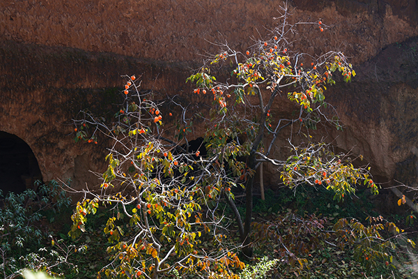 291761734572204342.jpg 4E8A7333 副图.jpg