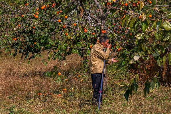 291761734598203106.jpg 4E8A7312 副图.jpg