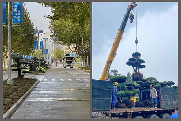 301761782642130799.jpg 6bf8166cbaeb5ad01ba04ae43a4f837b 副图 00 600.jpg