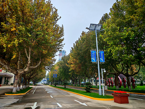 301761782666565187.jpg IMG_20251029_204533 600.jpg