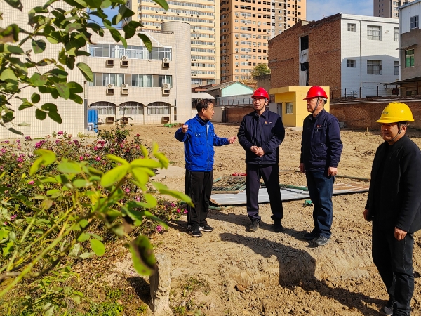 11月20日上午，集团公司党委书记、董事长、总经理赵强亲临办公楼南侧绿化改造升级工程现场实地督导工作-1.jpg