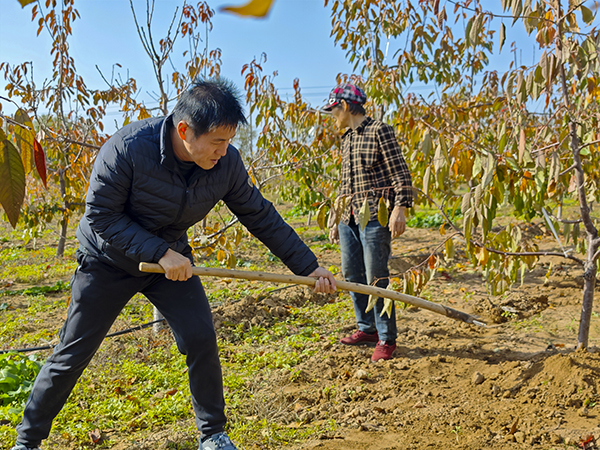 微信图片_20251211145108_2_53   600.jpg