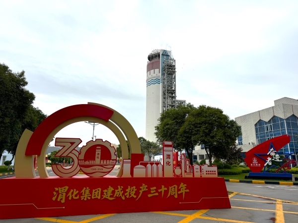 291780011788115349.jpg 驻立的造粒塔.jpg