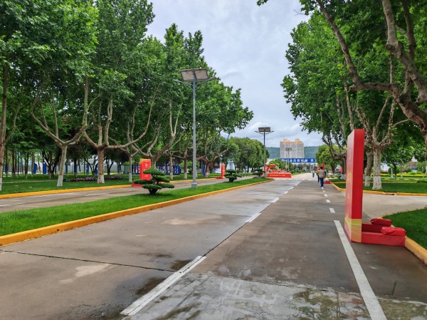 181781746300105014.jpg 图4 雨后林荫大道图片.jpg