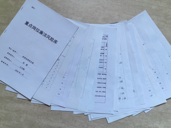 101783643905654492.jpg 支部形成重点岗位风险库.jpg